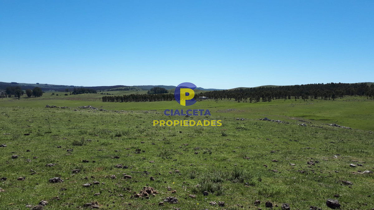Campo Ref.322 - 100 hectáreas en Lavalleja