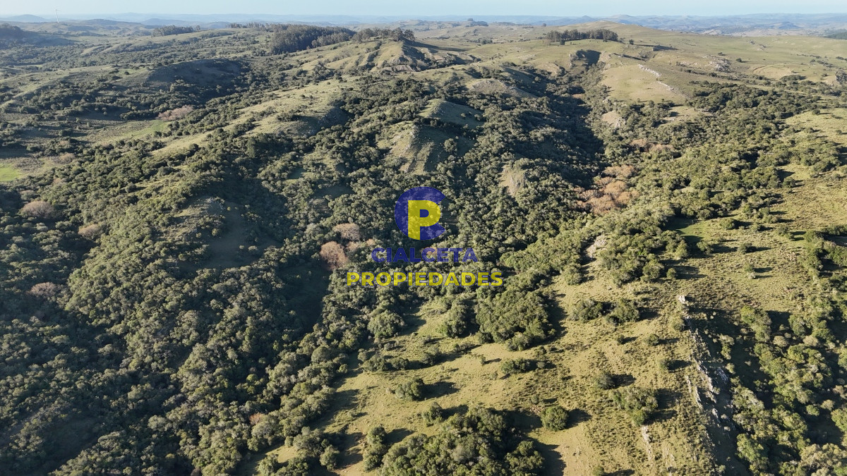 Campo Ref.526 - 60 hectáreas con casa , monte nativo, hermoso lugar