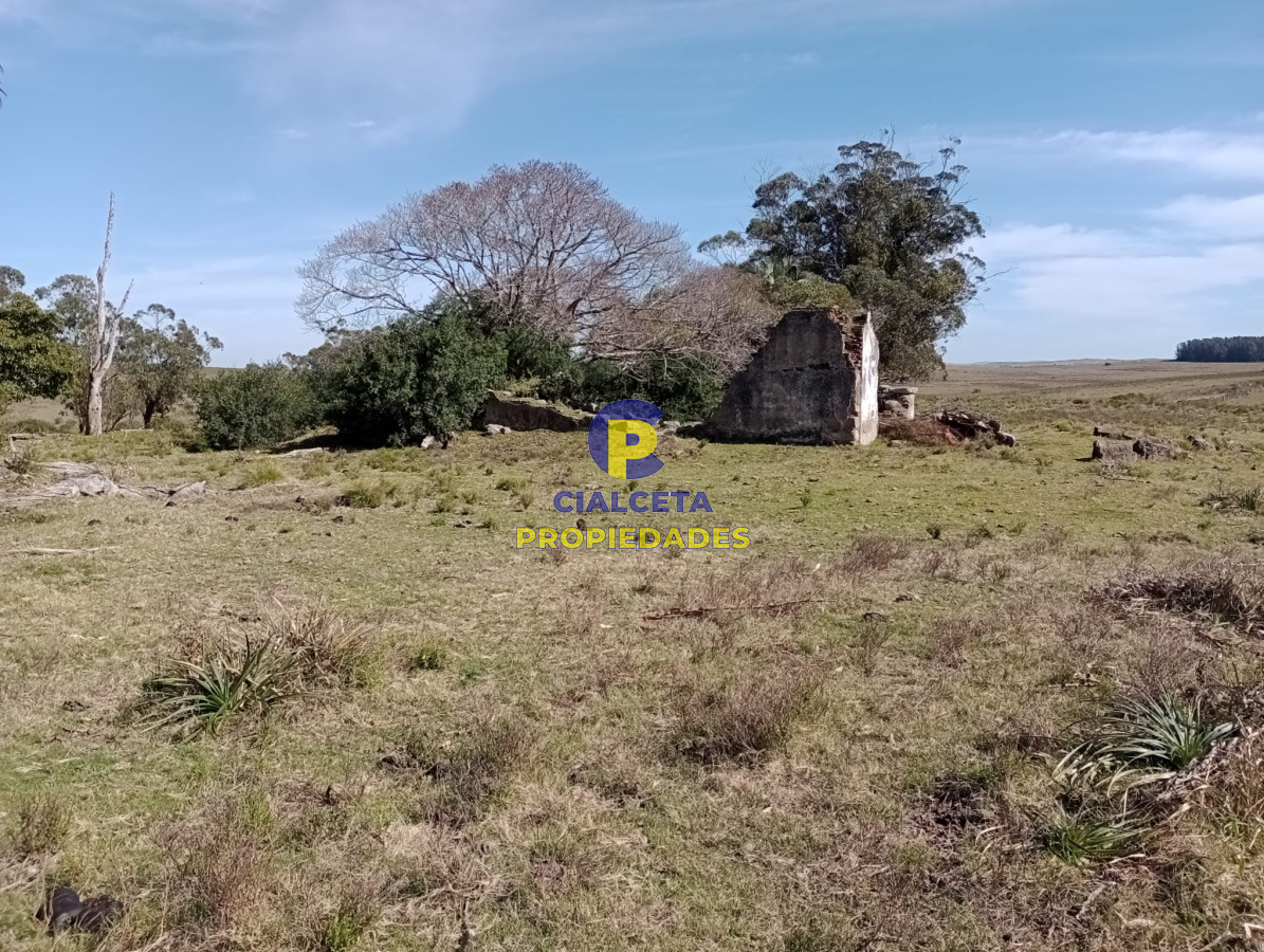 Campo Ref.381 - 315 hectáreas en Rocha