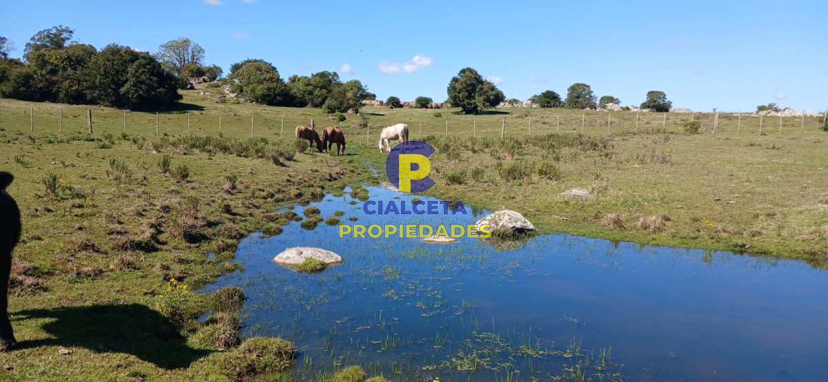 Campo Ref.308 - 395 hectáreas en Lavalleja
