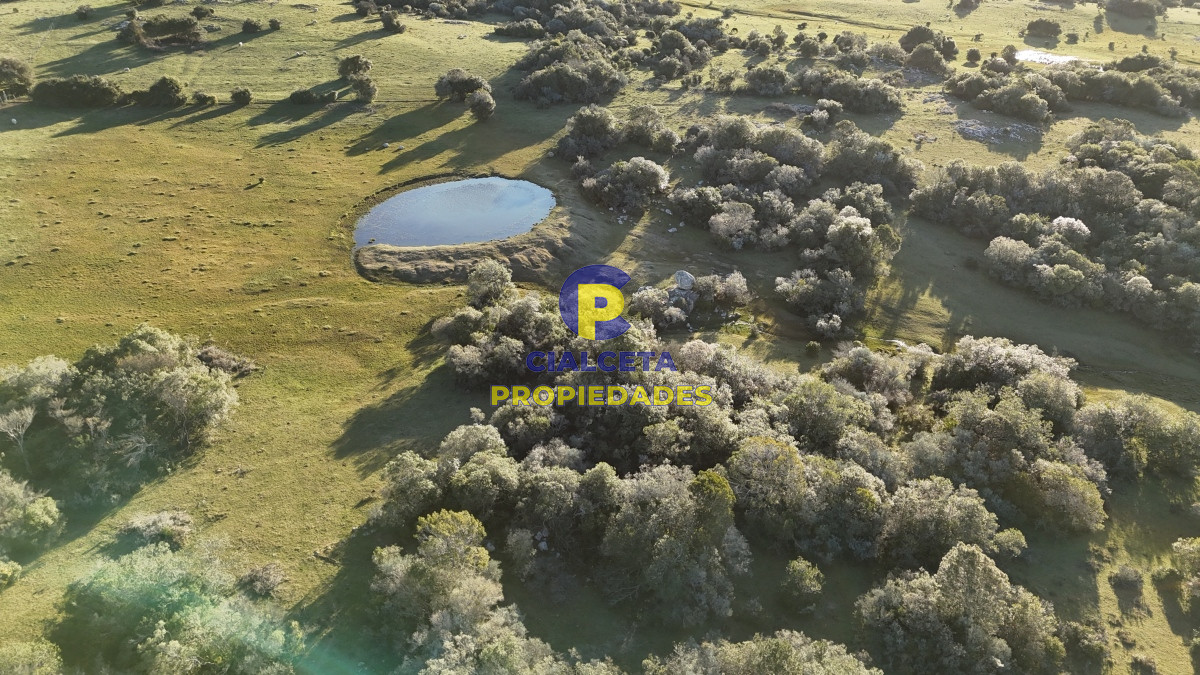 Campo Ref.512 - 55 hectáreas con tajamar y monte nativo