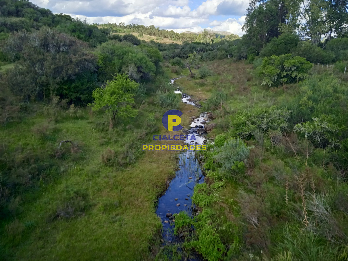 Campo Ref.74 - Propiedad única a la venta