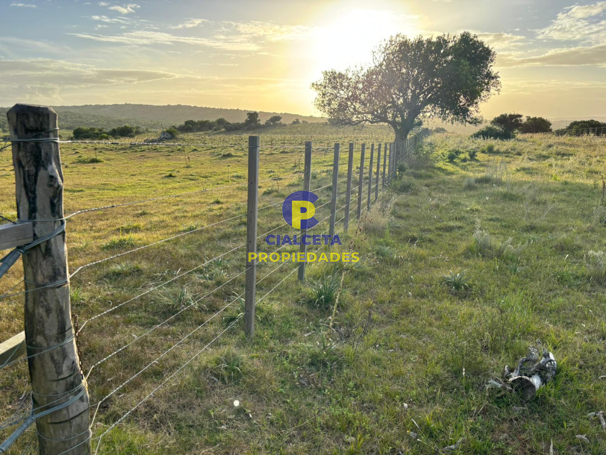Campo Ref.399 - 121 hectáreas en Rocha