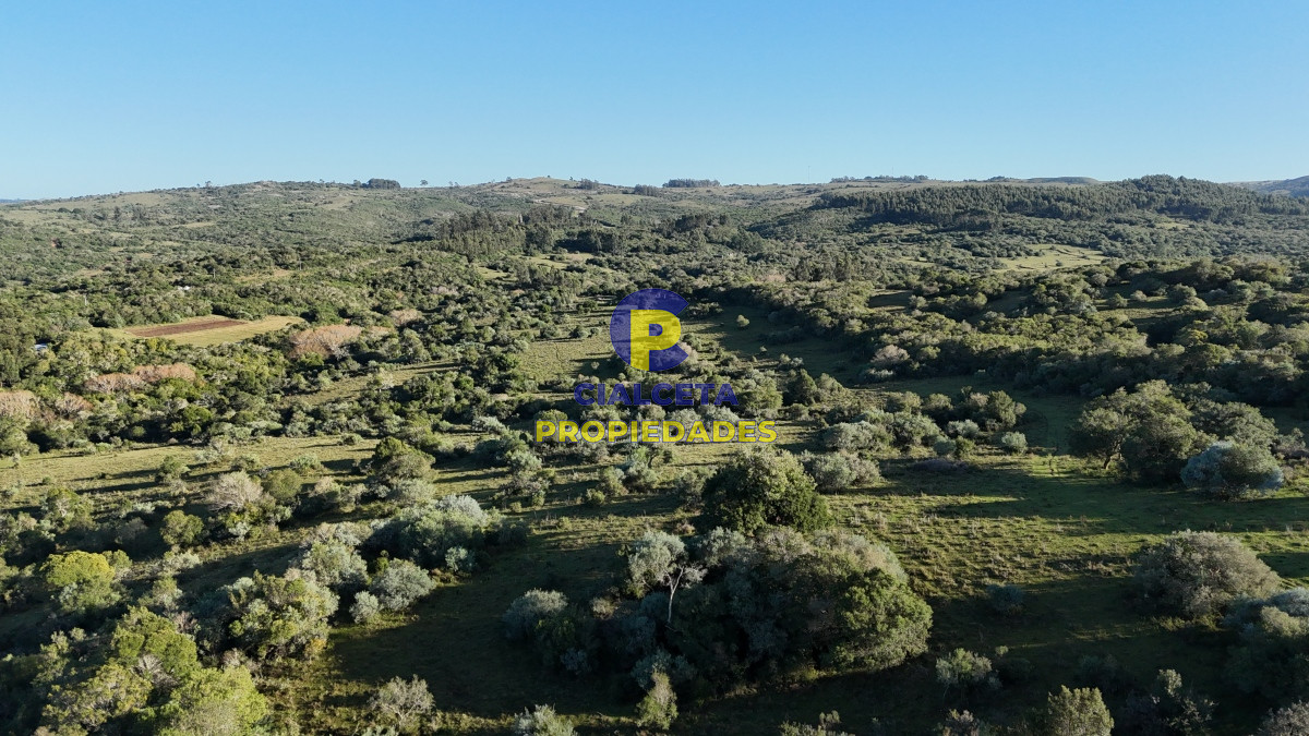 Campo Ref.457 - 28 hectáreas con cañada y monte nativo, Maldonado