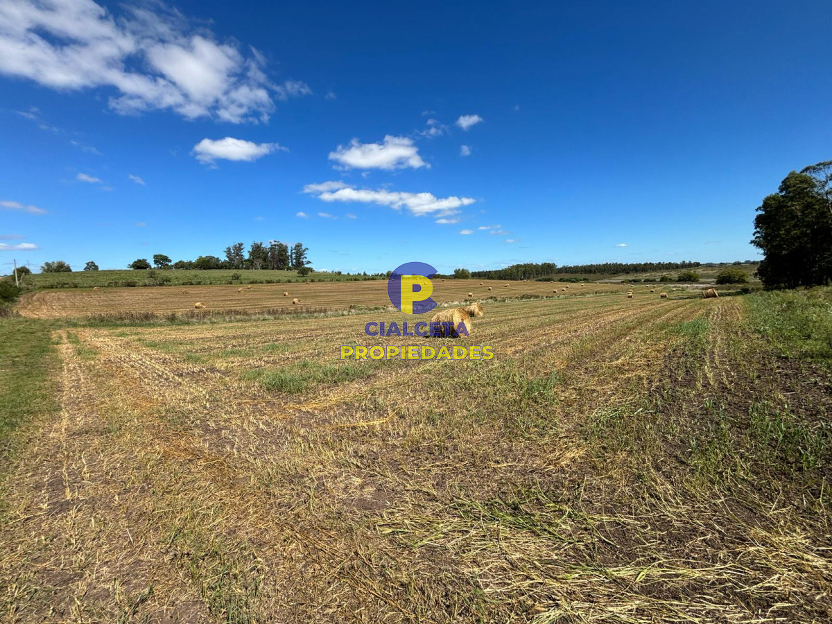Campo Ref.567 - Linda fracción de 16 hectáreas y media con casa y galpón, buen acceso