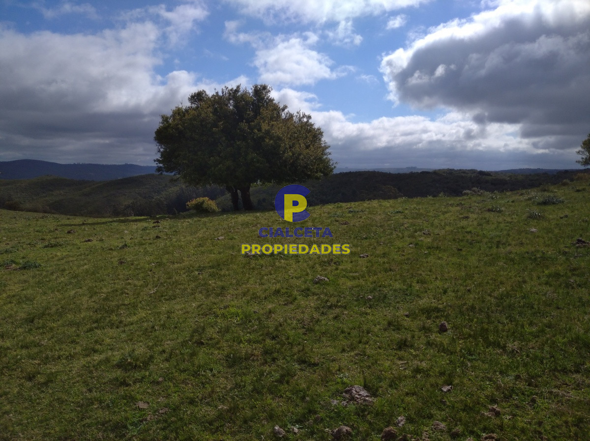 Campo Ref.91 - 267 hectáreas en Maldonado