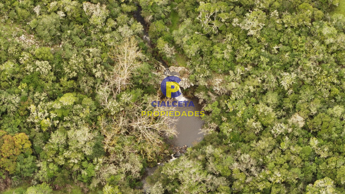 Campo Ref.426 - 116 hectáreas en Lavalleja