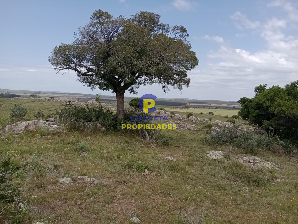 Campo Ref.316 - 32 hectáreas en Maldonado