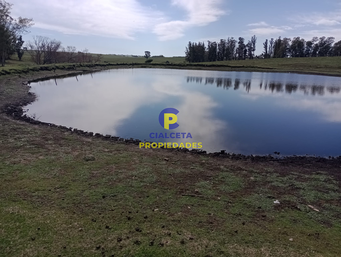 Campo Ref.295 - 22 hectáreas en lavalleja
