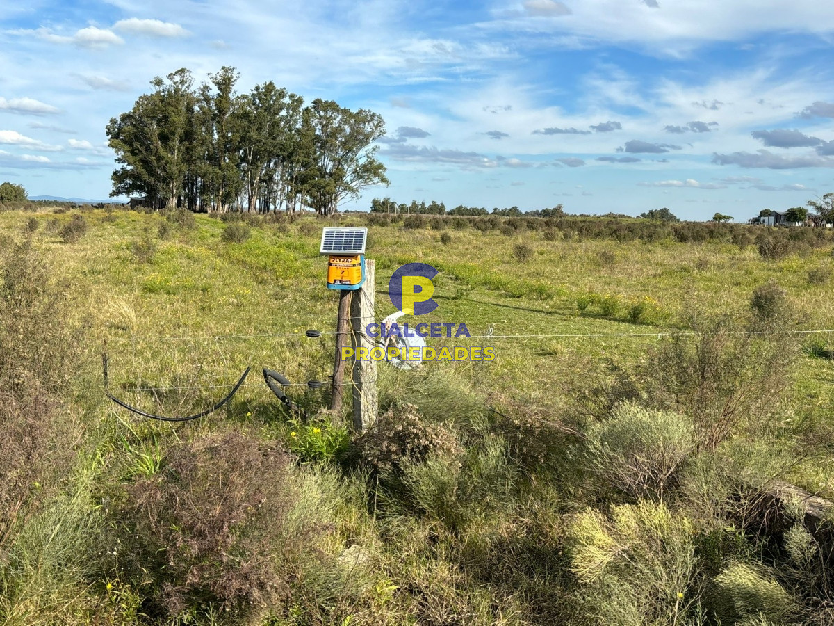 Campo Ref.437 - 15 hectáreas de buena tierra