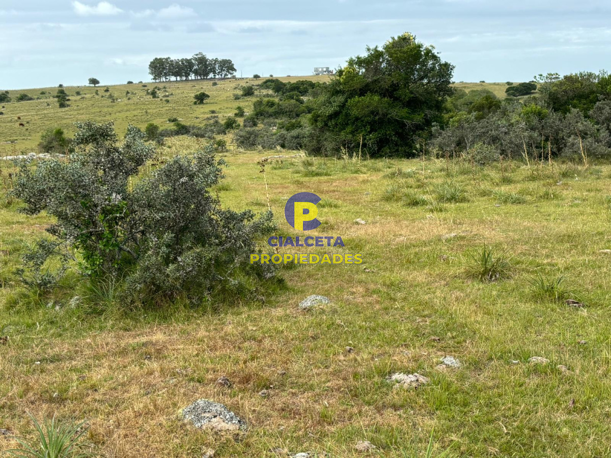 Campo Ref.399 - 121 hectáreas en Rocha
