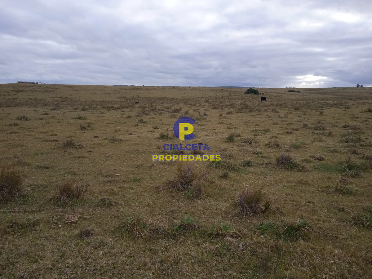 Campo Ref.122 - 60 hectáreas en Garzón