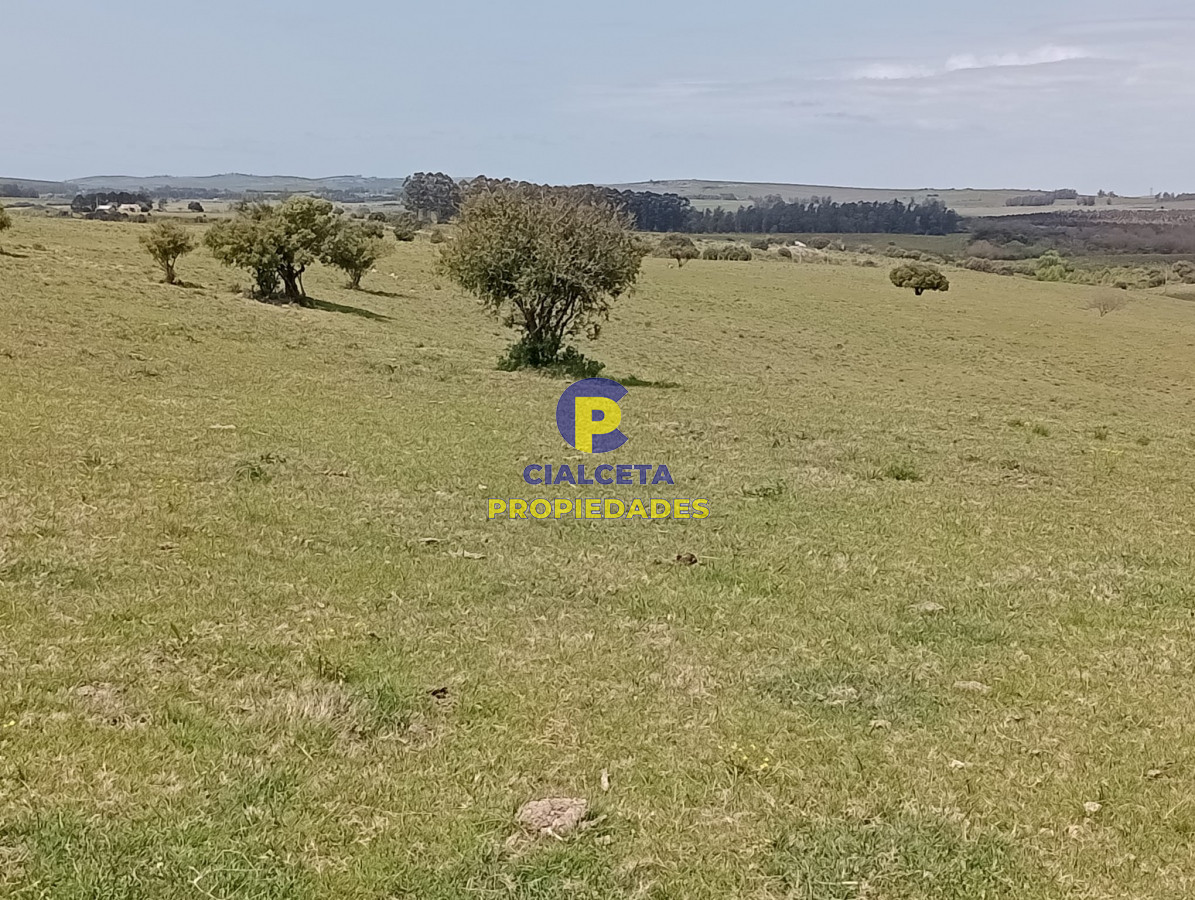 Campo Ref.316 - 32 hectáreas en Maldonado