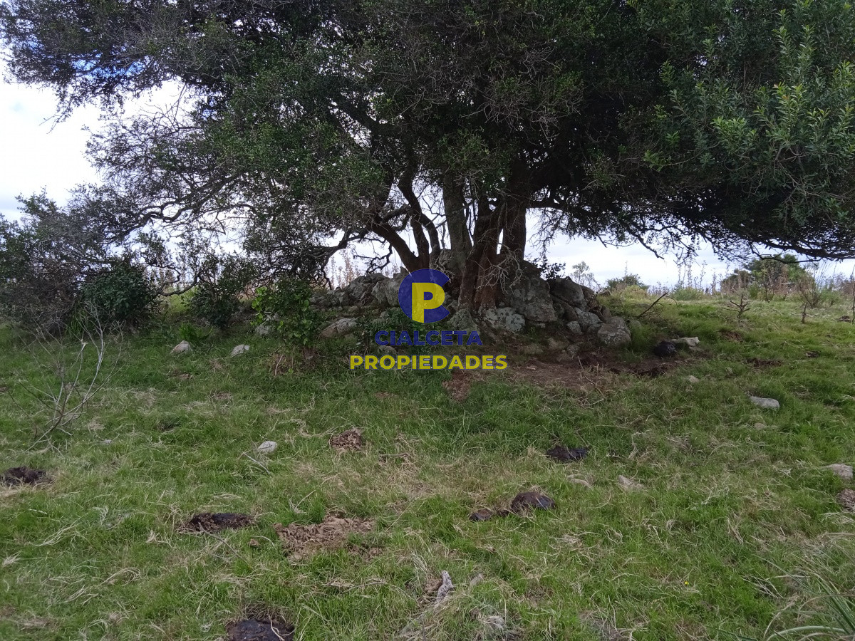 Campo Ref.130 - 29 hectáreas en maldonado