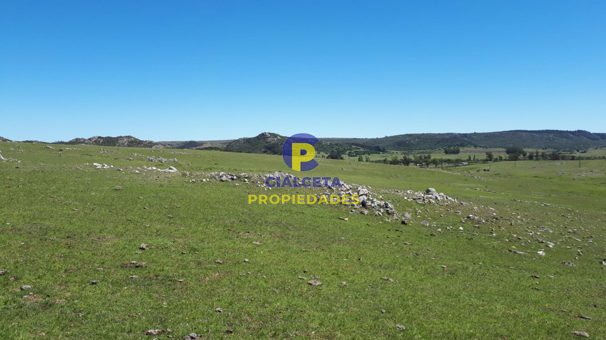 Campo Ref.324 - 215 hectáreas en Lavalleja