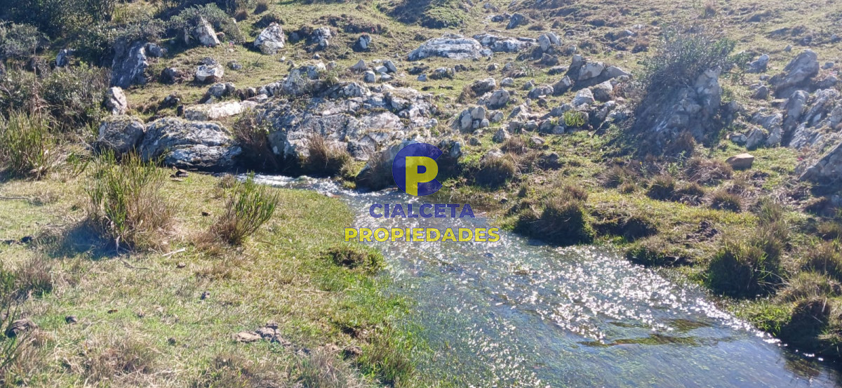 Campo Ref.308 - 395 hectáreas en Lavalleja