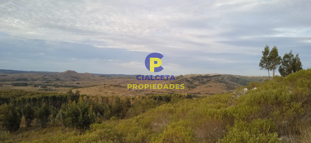 Campo Ref.50 - 5 hectáreas, entrega 8.000 U$S y cuotas de 593 U$S