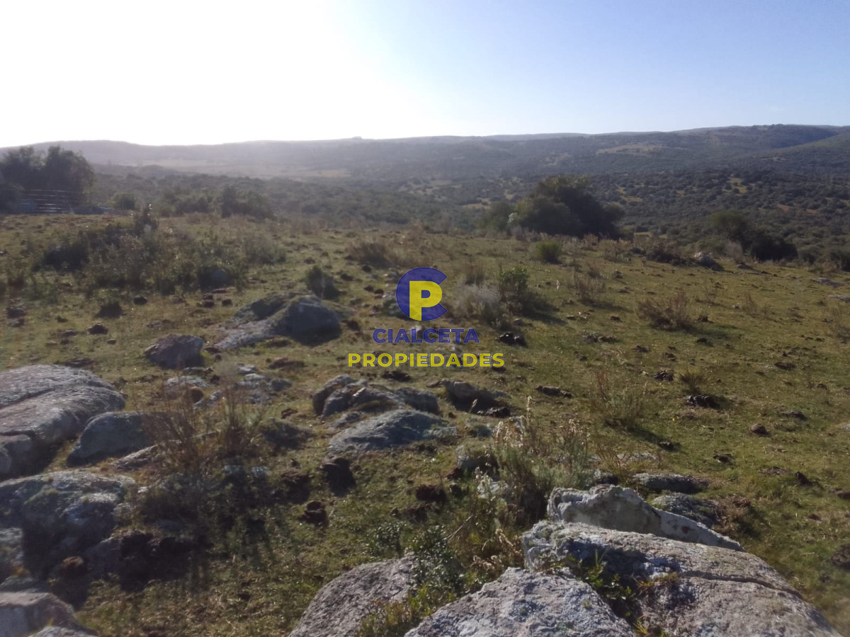 Campo Ref.398 - 41 hectáreas y media en Maldonado, Aigua