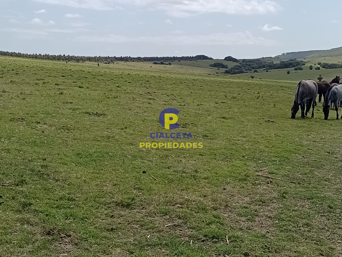 Campo Ref.315 - 28 hectáreas y media en Maldonado