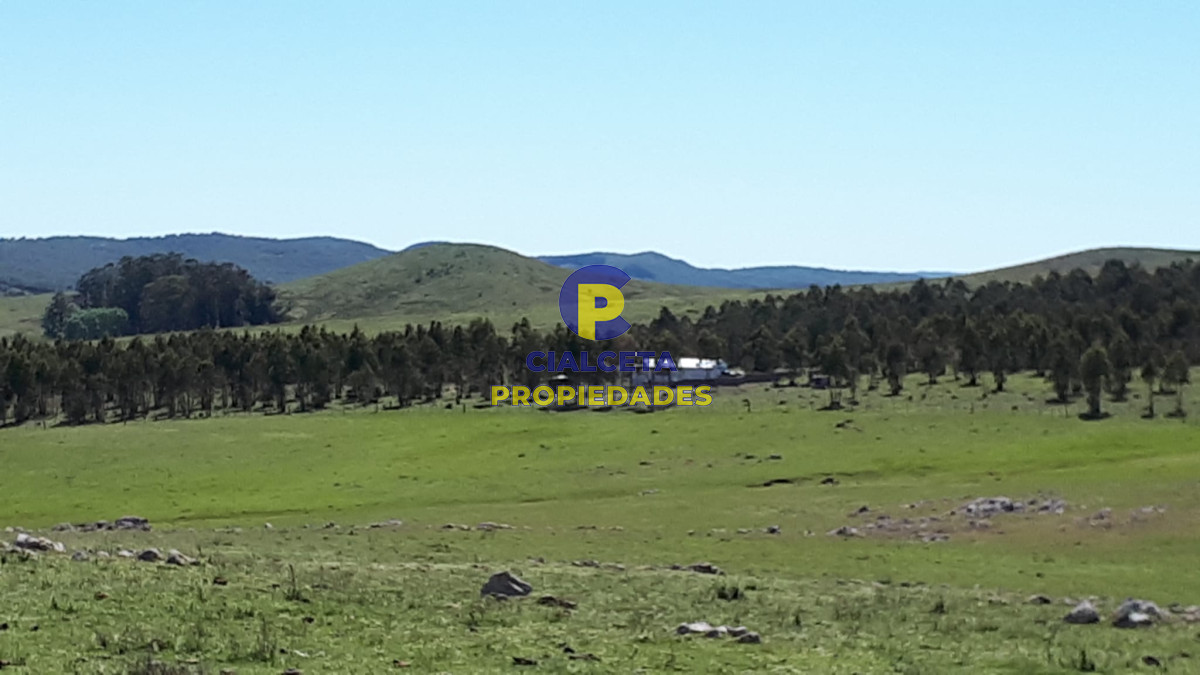 Campo Ref.322 - 100 hectáreas en Lavalleja