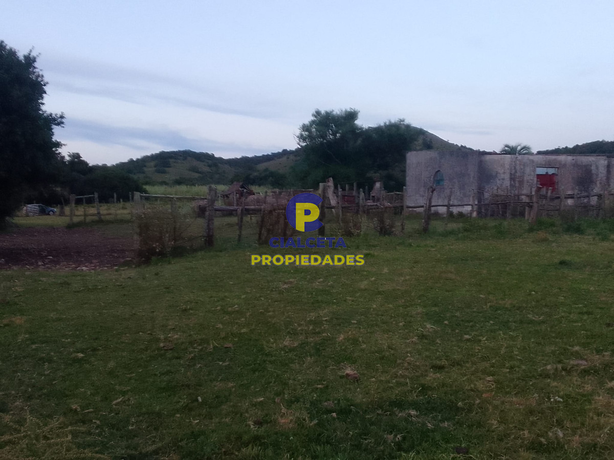 Campo Ref.89 - 330 hectáreas en Lavalleja