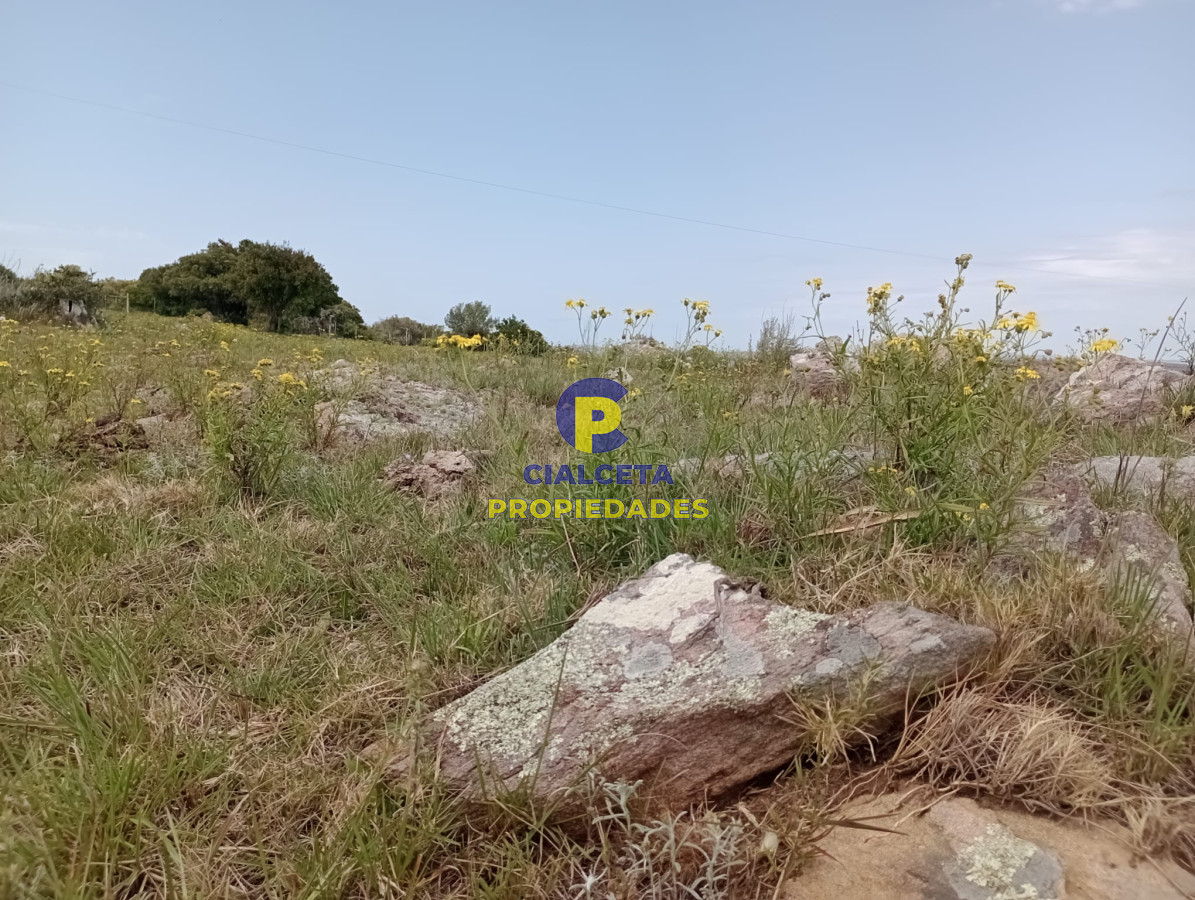 Campo Ref.316 - 32 hectáreas en Maldonado
