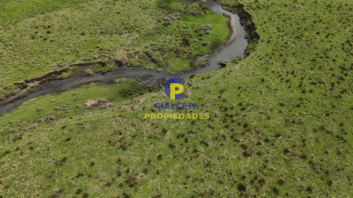 Campo Ref.538 - 68 hectáreas y media en Valle Fuentes con 200 de coneat