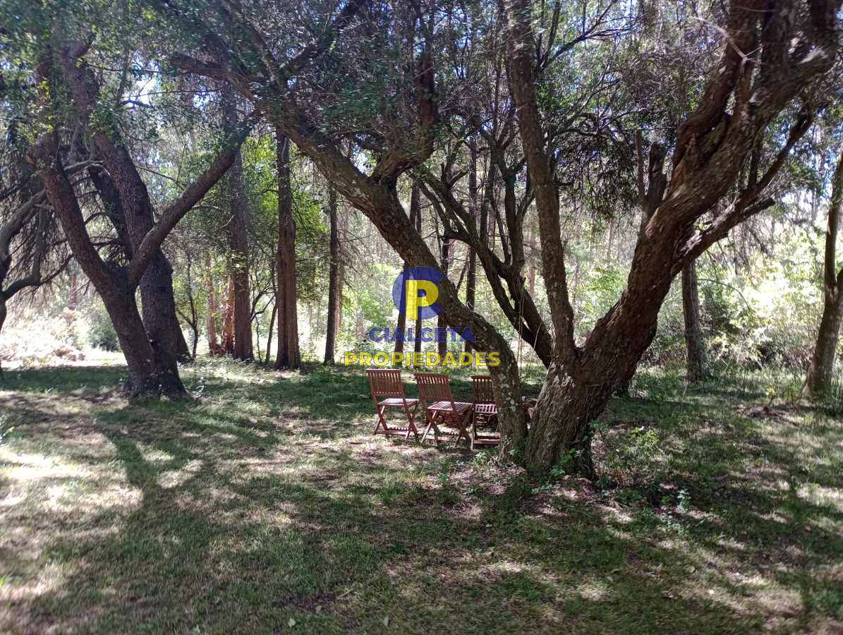 Campo Ref.539 - 92 hectáreas con casa reciclada, vista a las sierras, arroyo, monte
