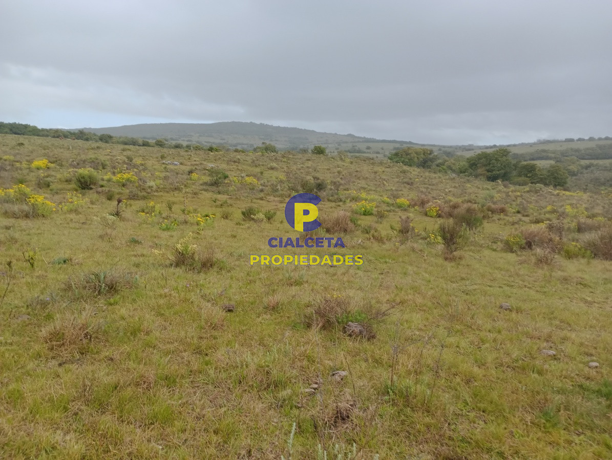 Campo Ref.113 - 5 hectáreas en Maldonado, Pueblo Edén