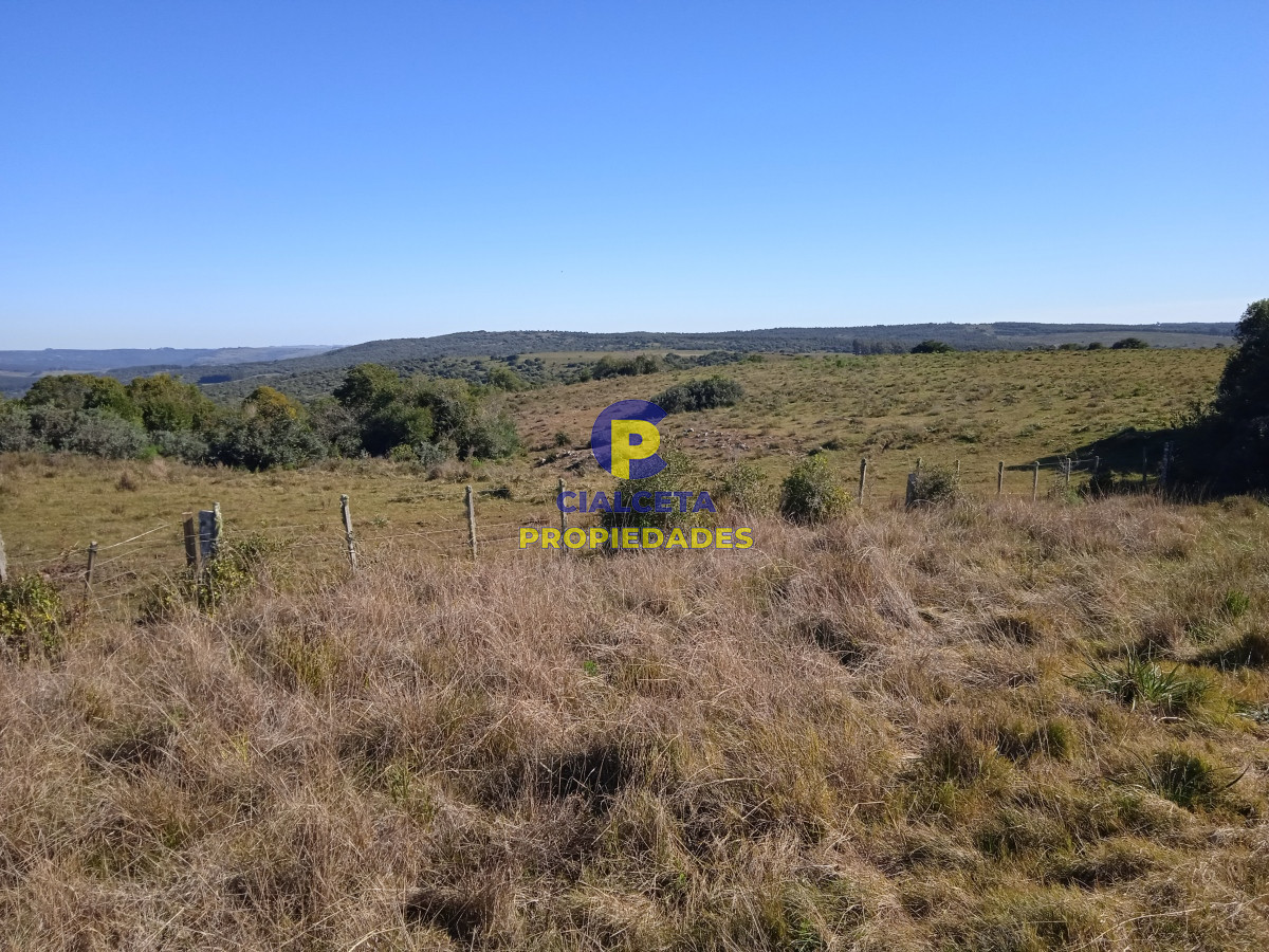 Campo Ref.283 - 273 hectáreas y media en Lavalleja