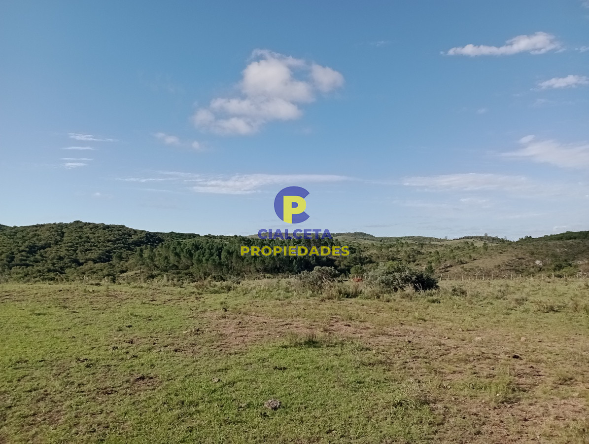 Campo Ref.140 - 153 hectáreas en Maldonado