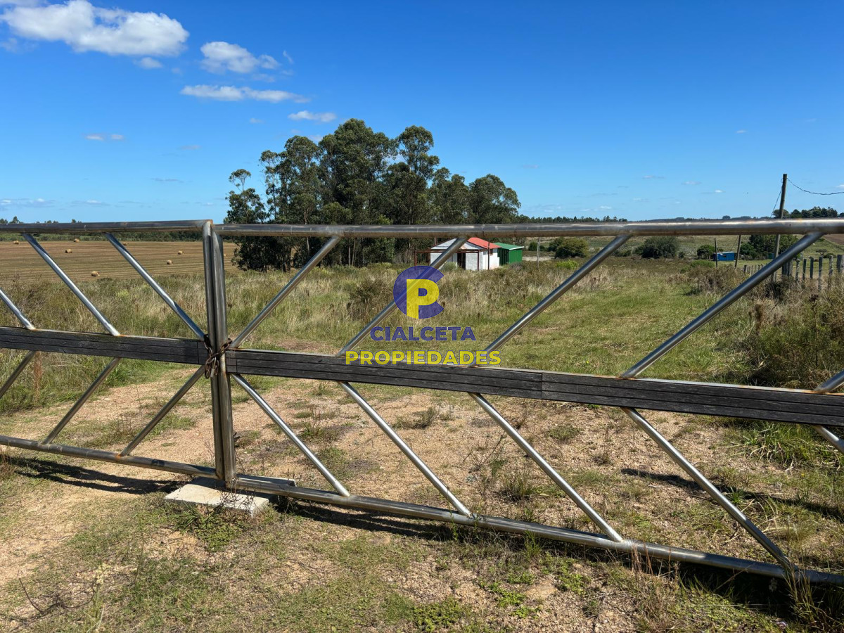 Campo Ref.567 - Linda fracción de 16 hectáreas y media con casa y galpón, buen acceso