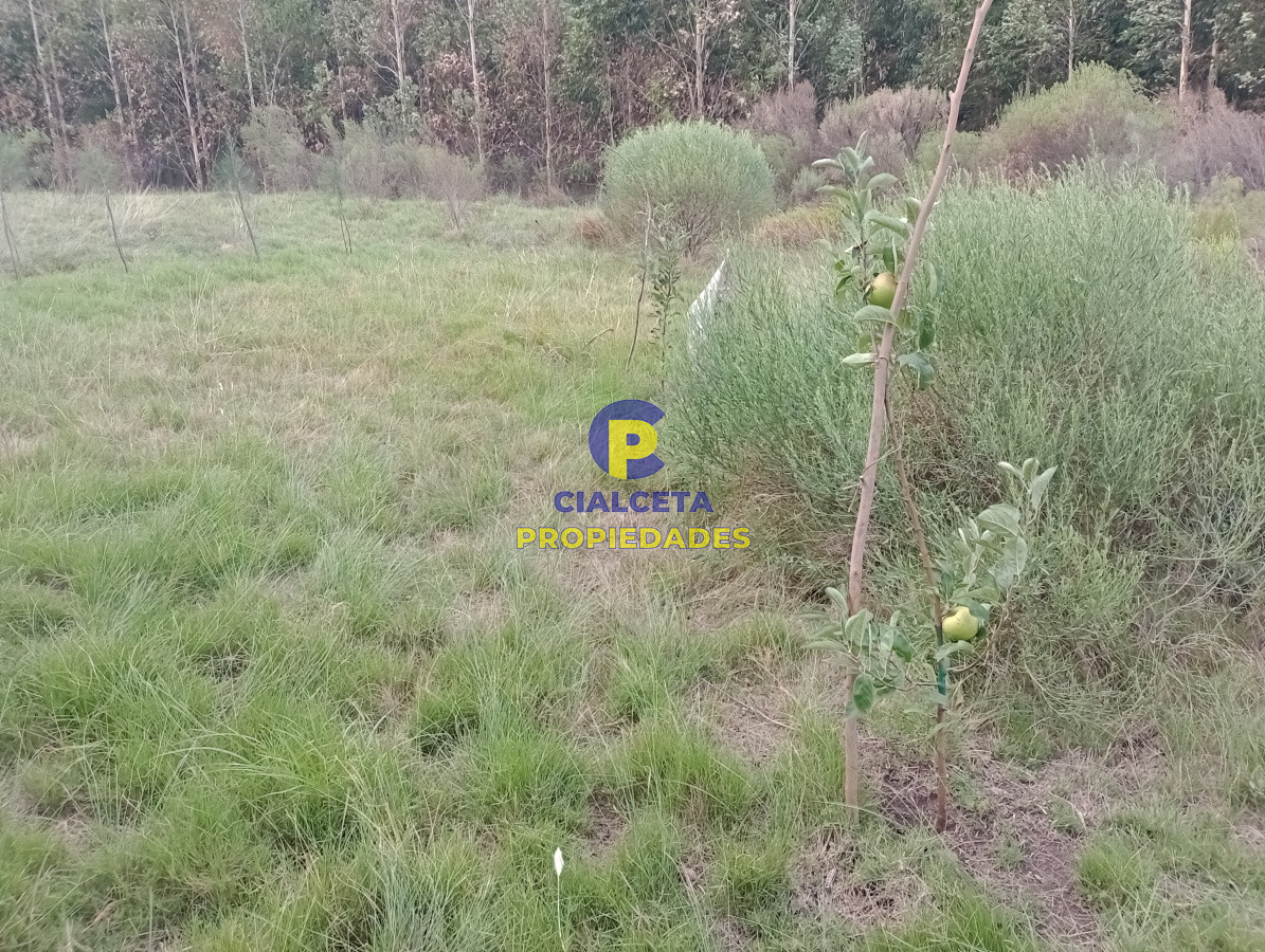 Campo Ref.190 - 228 hectáreas en lavalleja