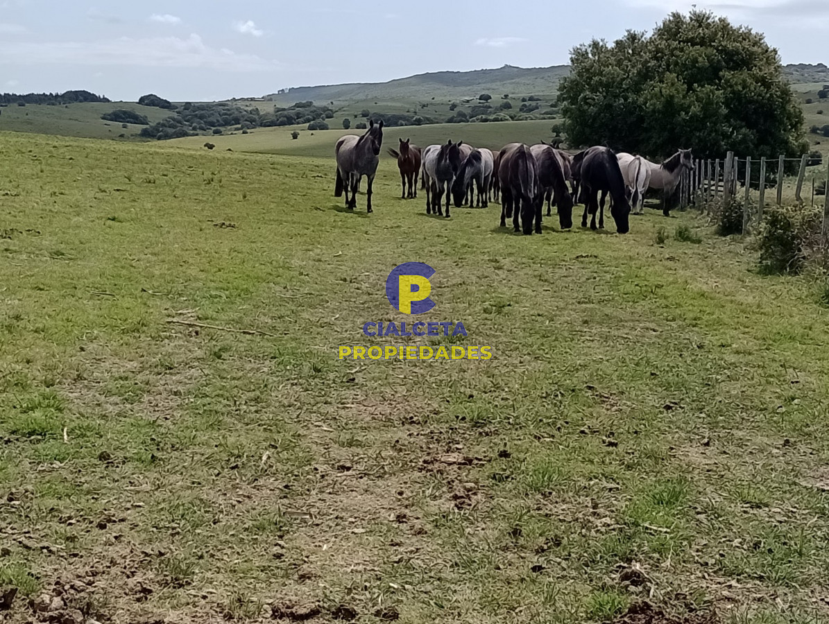 Campo Ref.315 - 28 hectáreas y media en Maldonado