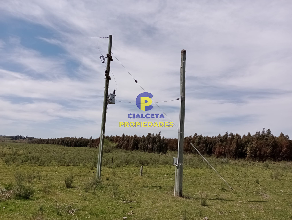 Campo Ref.313 - 73 hectáreas en Canelones