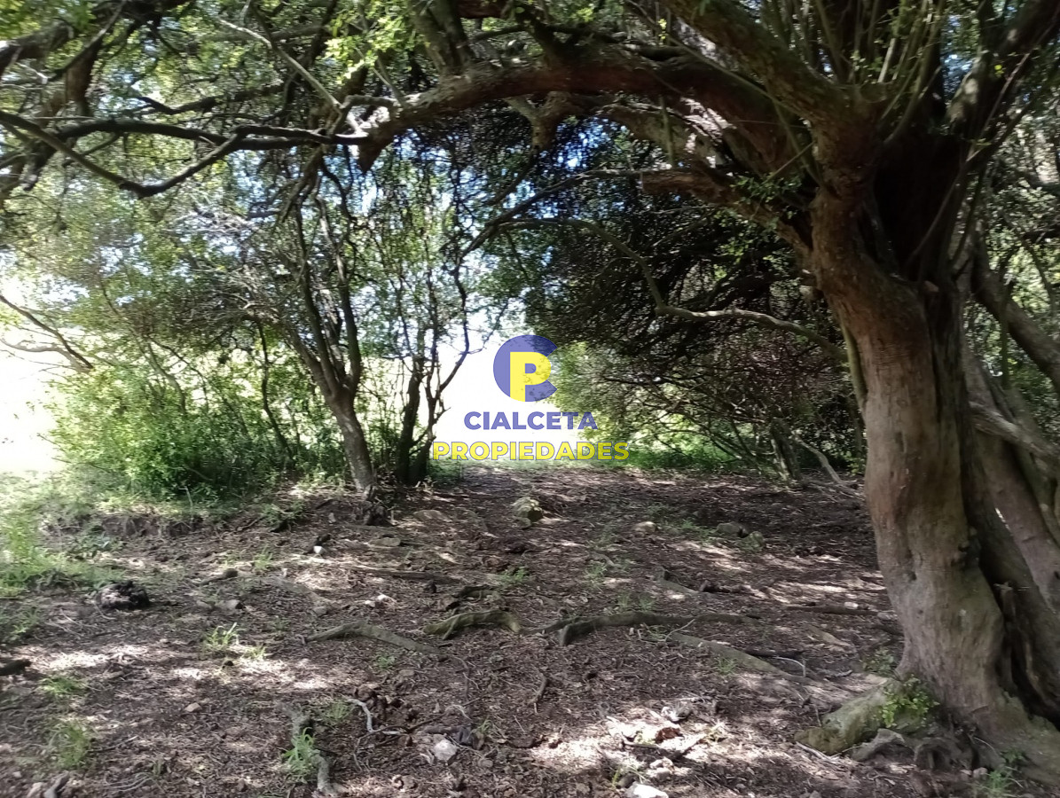 Campo Ref.316 - 32 hectáreas en Maldonado
