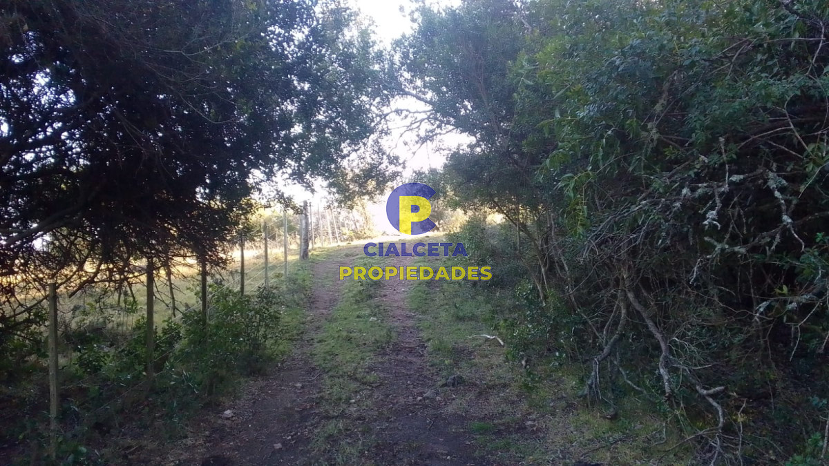 Campo Ref.398 - 41 hectáreas y media en Maldonado, Aigua