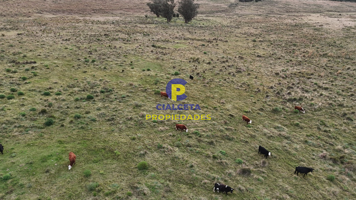 Campo Ref.461 - 60 hectáreas con arroyo y cañada en Maldonado