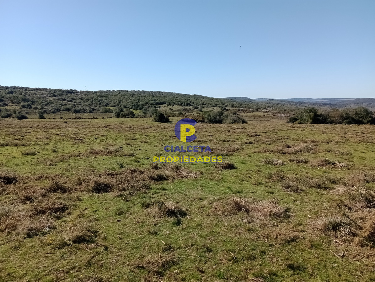 Campo Ref.135 - 2957 hectáreas en Cerro Largo