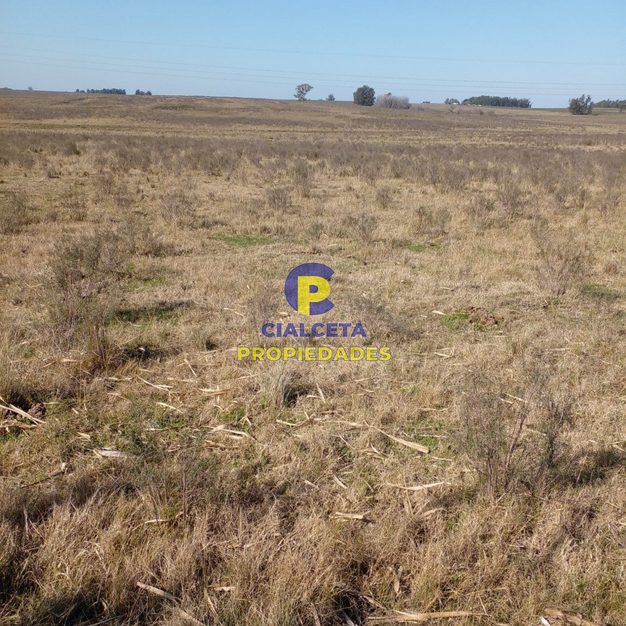 Campo Ref.97 - 130 hectáreas en Canelones