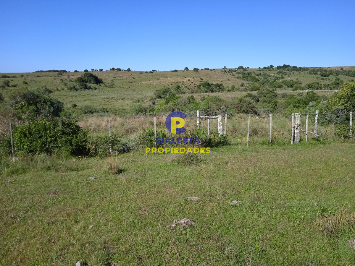 Campo Ref.127 - 35 hectáreas en Maldonado