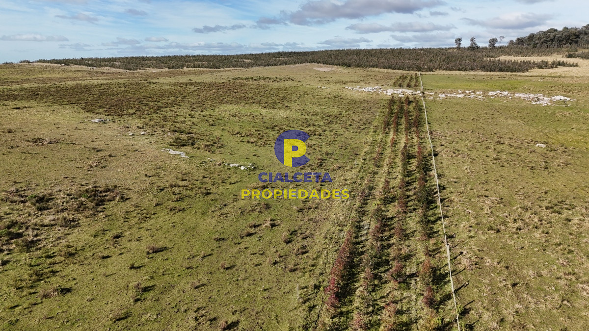 Campo Ref.465 - 24 hectáreas en Lavalleja, a 6 km de Villa Serrana