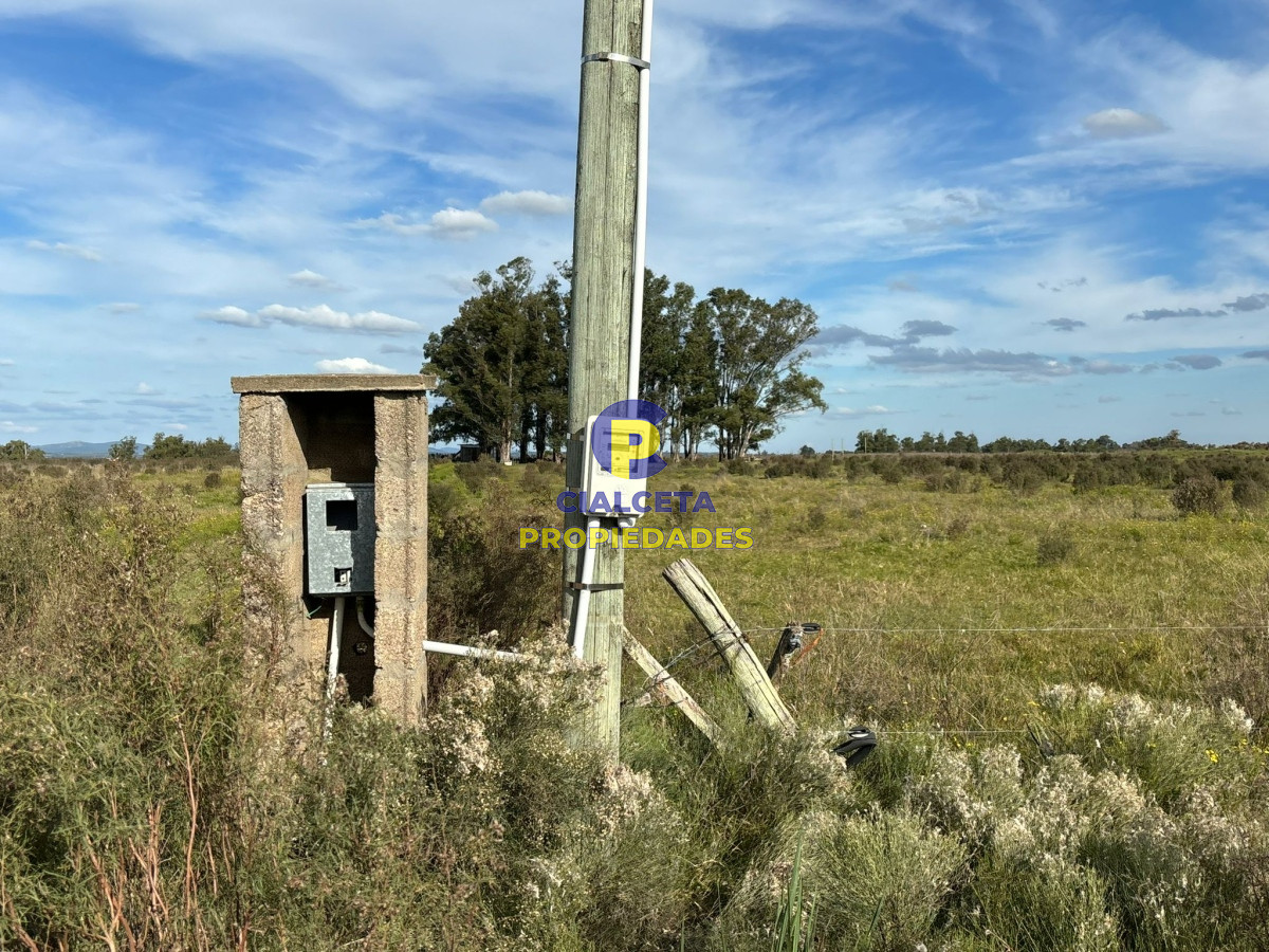 Campo Ref.437 - 15 hectáreas de buena tierra