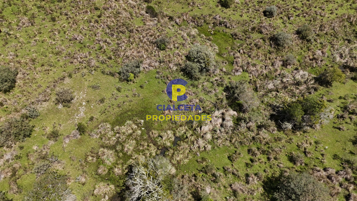 Campo Ref.534 - 3 hectáreas con cañada a 25 km de San Carlos, financiadas