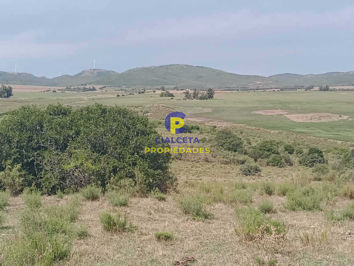 Campo Ref.79 - 170 hectáreas en lavalleja