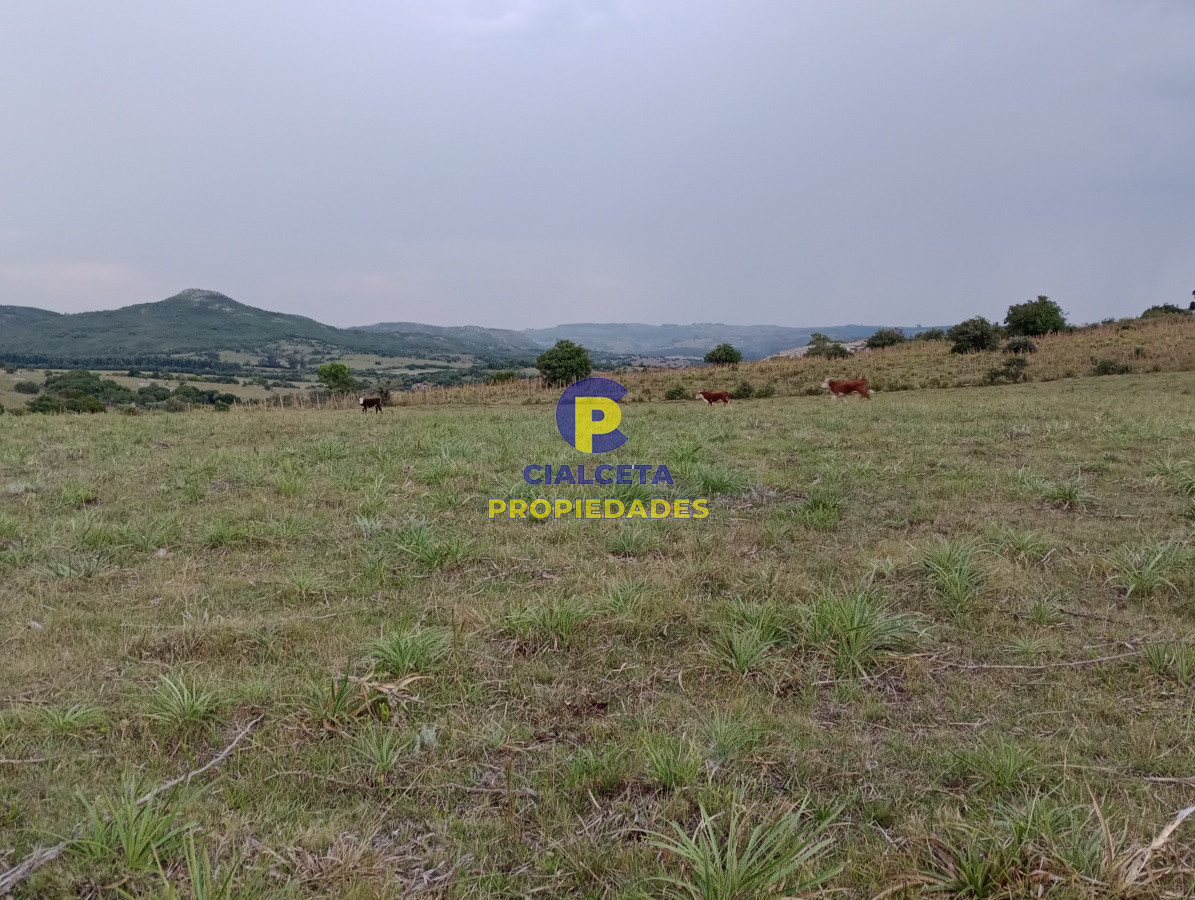 Campo Ref.183 - Chacras de 5 hectáreas