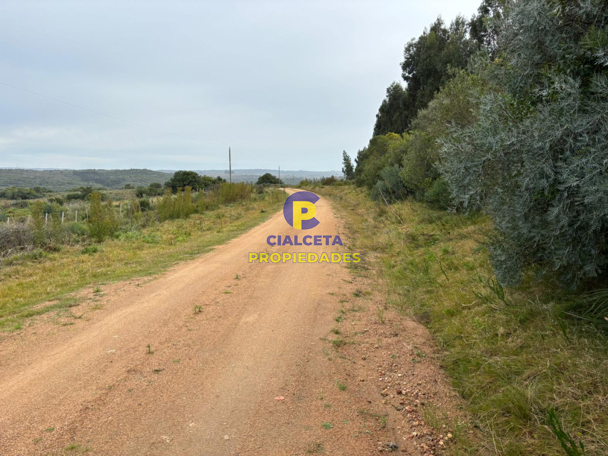 Campo Ref.441 - 200 hectáreas con muy buena vista