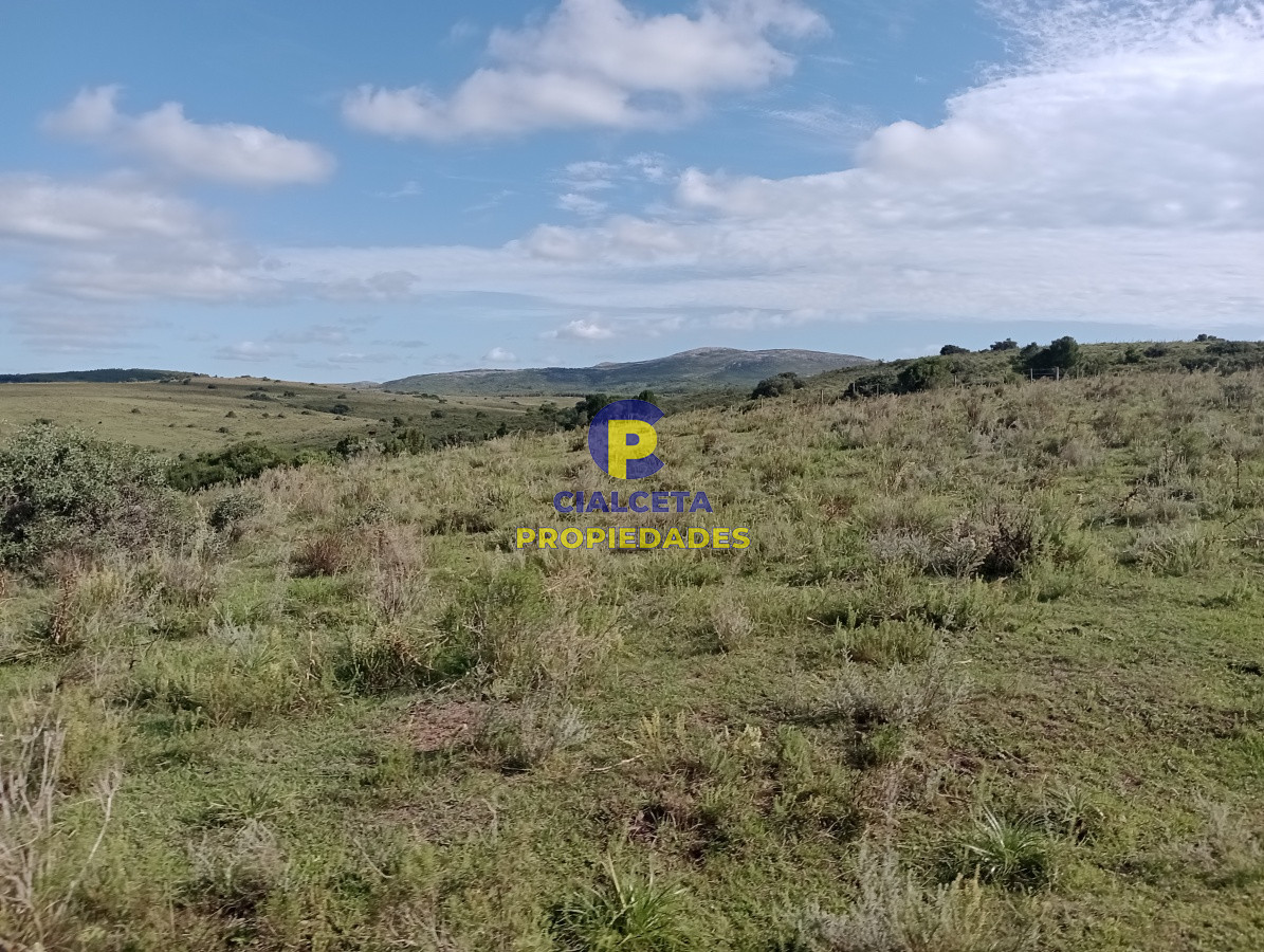 Campo Ref.141 - 490 hectáreas en Maldonado
