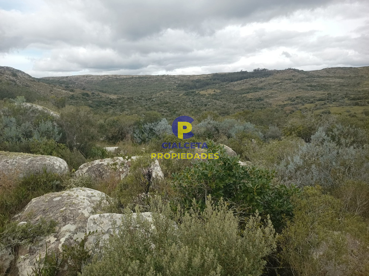 Campo Ref.440 - 38 hectáreas en Aiguá