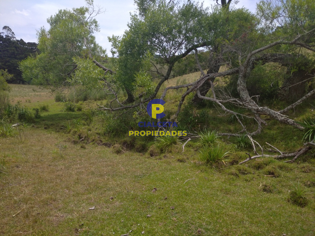 Campo Ref.91 - 267 hectáreas en Maldonado